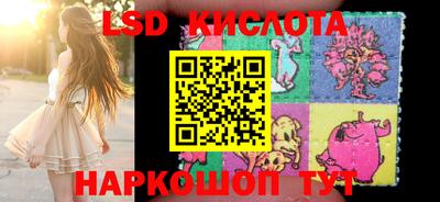 крисы Краснодар