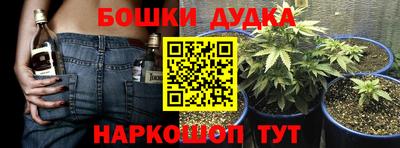 крисы Краснодар